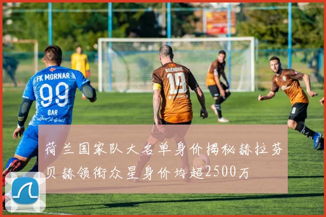 荷兰国家队大名单身价揭秘赫拉芬贝赫领衔众星身价均超2500万